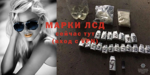 спайс Арсеньев